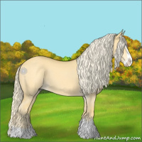 Horse Color:Palomino Dun Splash 