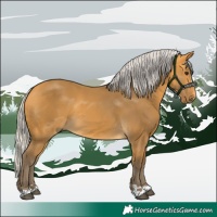 Horse Color:Silver Buckskin 