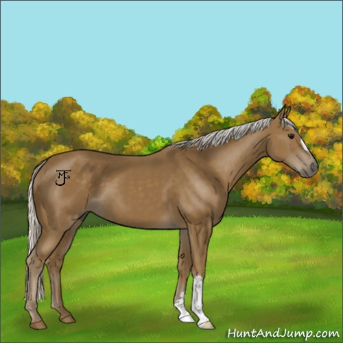 Horse Color:Silver Smoky Black 