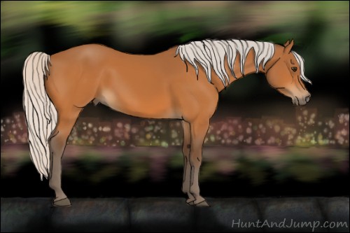Horse Color:Silver Buckskin 