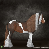 Horse Color:Liver Chestnut Tobiano 