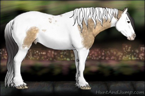 Horse Color:Buckskin Dun Sabino Splash Tobiano