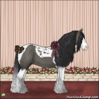Horse Color:Grullo Splash Tobiano 