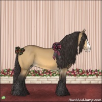 Horse Color:Buckskin Dun Splash
