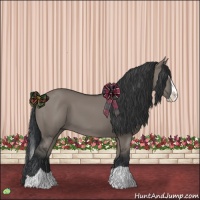 Horse Color:Grullo Splash 