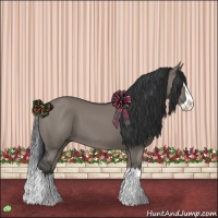 Horse Color:Grullo Splash 