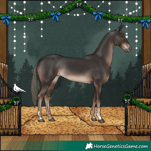 Horse Color:Liver Chestnut Mushroom 