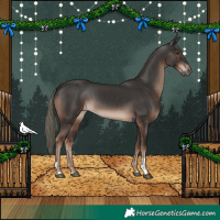 Horse Color:Liver Chestnut Mushroom 