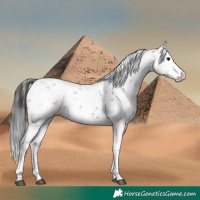 Horse Color:Brown Sabino 