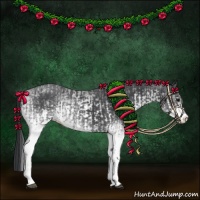 Horse Color:White Spotted Blue Roan Rabicano  and White Spotted Blue Roan Rabicano 