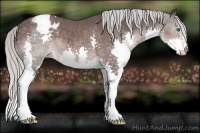 Horse Color:Platinum Silver Brown Splash Appaloosa 