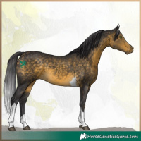 Horse Color:Buckskin Tobiano