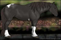 Horse Color:Liver Chestnut Tobiano
