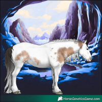 Horse Color:Brown Dun Sabino Splash Tobiano Rabicano