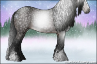 Horse Color:Gray White Spotted Brown