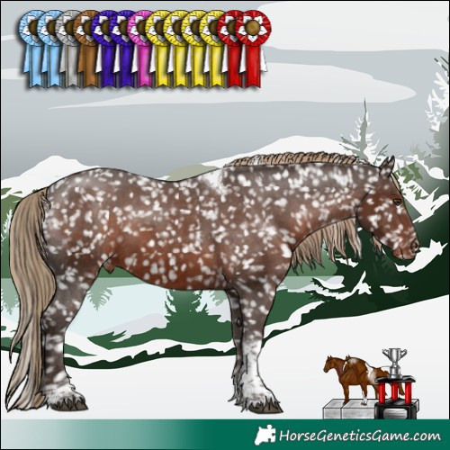 Horse Color:White Spotted Liver Chestnut Tobiano Snowflake Varnish