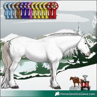 Horse Color:White Spotted Liver Chestnut Tobiano Appaloosa 