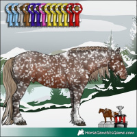 Horse Color:White Spotted Liver Chestnut Tobiano Snowflake Varnish 