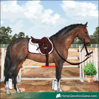 Horse Color:Brown Rabicano