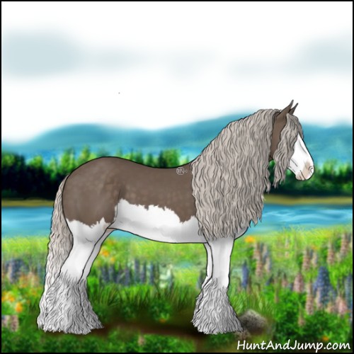 Horse Color:Silver Black Splash