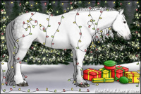 Horse Color:Gray Brown 