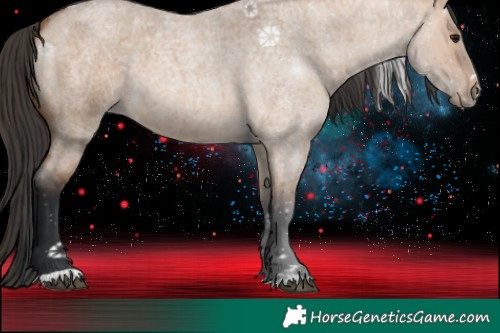 Horse Color:Bay Roan Dun 
