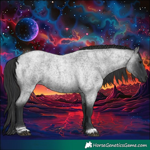 Horse Color:Blue Roan 
