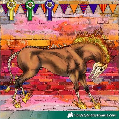 Horse Color:Bay 