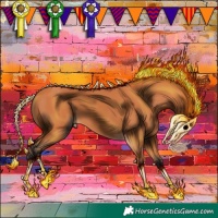 Horse Color:Bay 