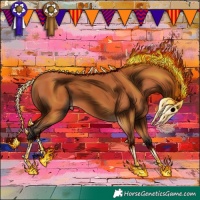 Horse Color:Bay 