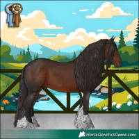 Horse Color:Liver Chestnut Tobiano 