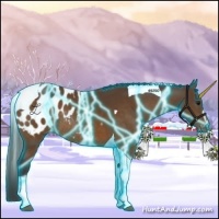 Horse Color:Thunderstruck Buckskin Sabino Tobiano Blanket Rabicano 
