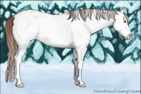Horse Color:White Spotted Amber Champagne Splash Blanket  and White Spotted Amber Champagne Splash Blanket 