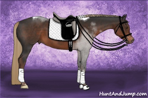 Horse Color:Liver Chestnut Tobiano