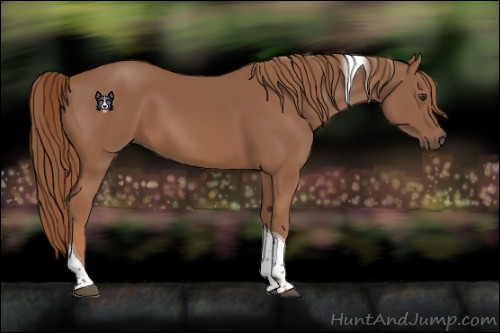Horse Color:Chestnut Tobiano 