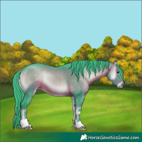Horse Color:Watercolor Brown Onyx