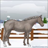 Horse Color:Silver Blue Roan Sabino 