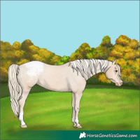 Horse Color:Chestnut Mushroom Snowcap 
