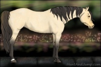 Horse Color:Buckskin Roan Dun 
