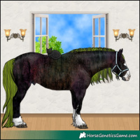 Horse Color:Painted Brown Ice