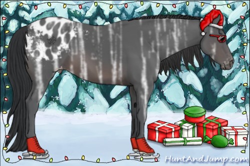 Horse Color:Brown Ice Appaloosa