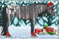 Horse Color:Brown Ice Appaloosa 