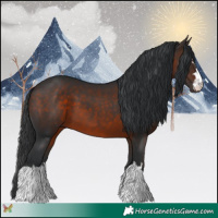 Horse Color:Brown 