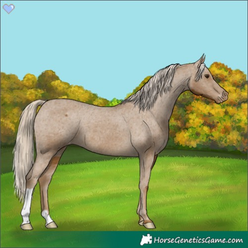 Horse Color:Chocolate Palomino Varnish 