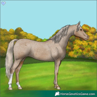 Horse Color:Chocolate Palomino Varnish 