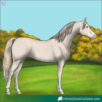 Horse Color:Smoky Creme 
