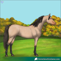 Horse Color:Bay Roan Dun 