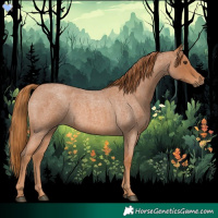 Horse Color:Red Roan 
