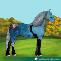 Horse Color:ERROR: UNKNOWN ANOMALY