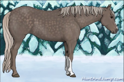 Horse Color:Silver Black 